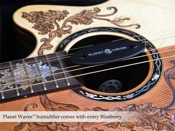 This Blueberry Double Neck guitar with intricate celtic bird motif 
